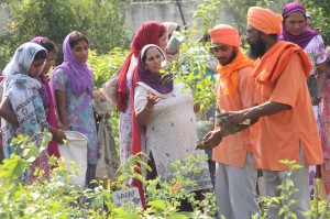 SantSeechewal2